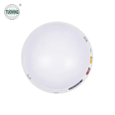 천장 마운트 LED 비상 조명